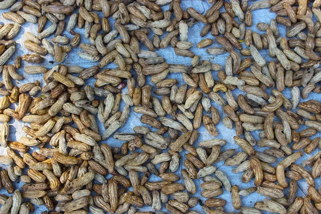 Imagine RAURENI TOCANA DE LEGUME 300 G