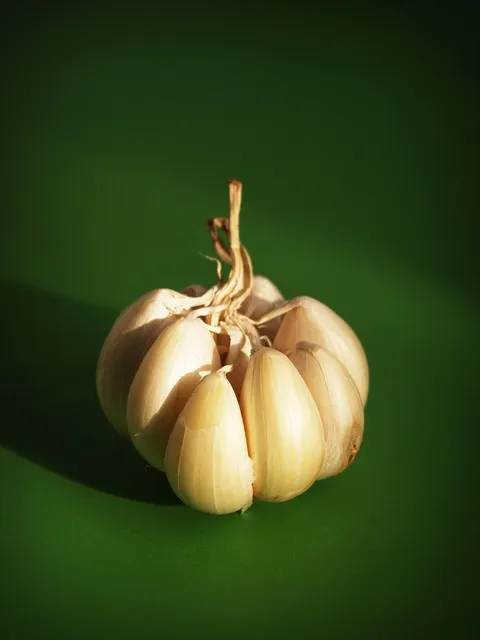 Imagine DELIKAT CONDIMENT PORC 23G