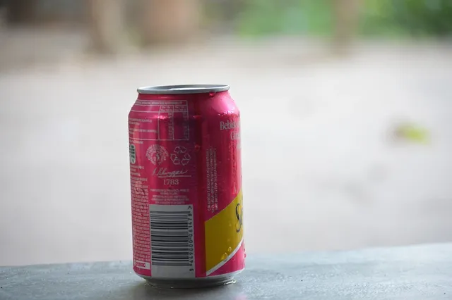 Imagine SCHWEPPES MANDARIN 500 ML