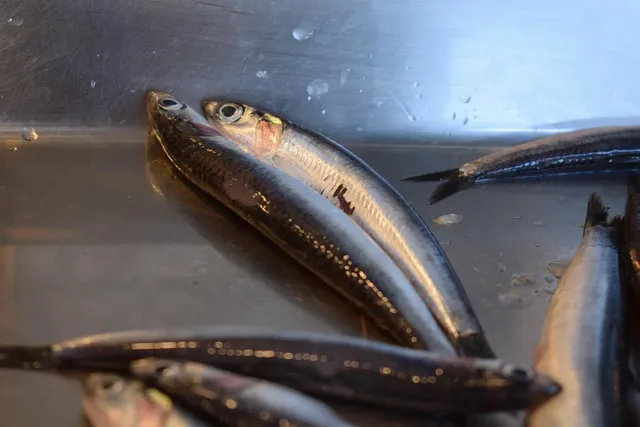Imagine HOME GARDEN SARDINE IN SOS TOMAT 110 G