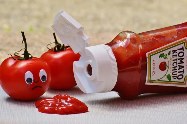 Imagine HELLMANN'S KETCHUP CLASSIC 485G