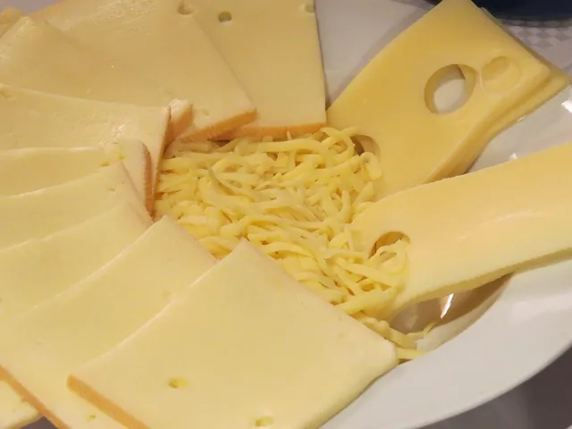 Imagine HOCHLAND BRANZA TOPITA BLOC SMANTANA 90 G