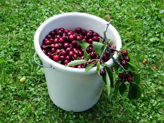 Imagine HOME GARDEN TON BUCATI IN SUC PROPRIU 170 G